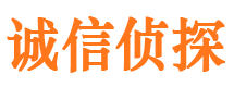 宁武市侦探调查公司